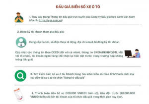 dau-gia-bien-so-o-to-vneconomyau