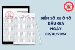 bien-so-xe-dau-gia-ngay-09-01