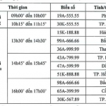 Người trúng đấu giá biển số xe đẹp có quyền bán lại hay không?